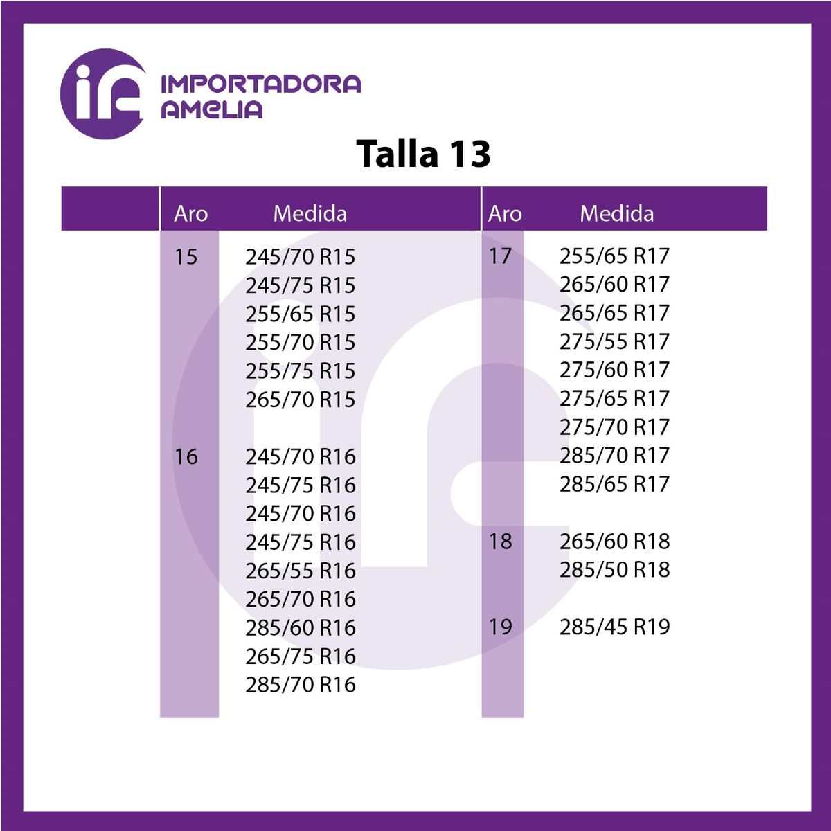 GENERICO - Kit 12 Cadenas Para Nieve adjustables con bolso T13