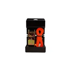 IMPORTCLICK - Cincha Amarre Remolque Carga Resistente 5 Metros 250/500 KG.