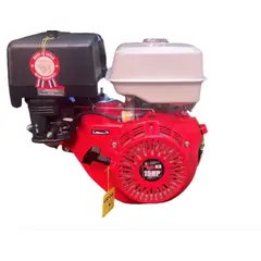 GENERICO - MOTOR ESTACIONARIO DE 15hp ERUX - LIC JAPONESA
