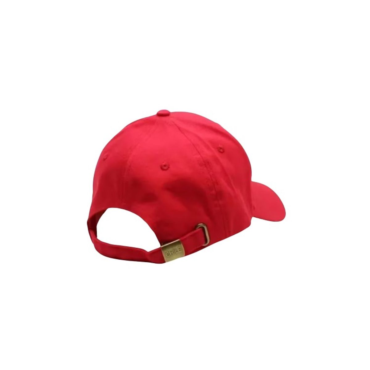 OEM - Gorros  Bordado Chile Blanco