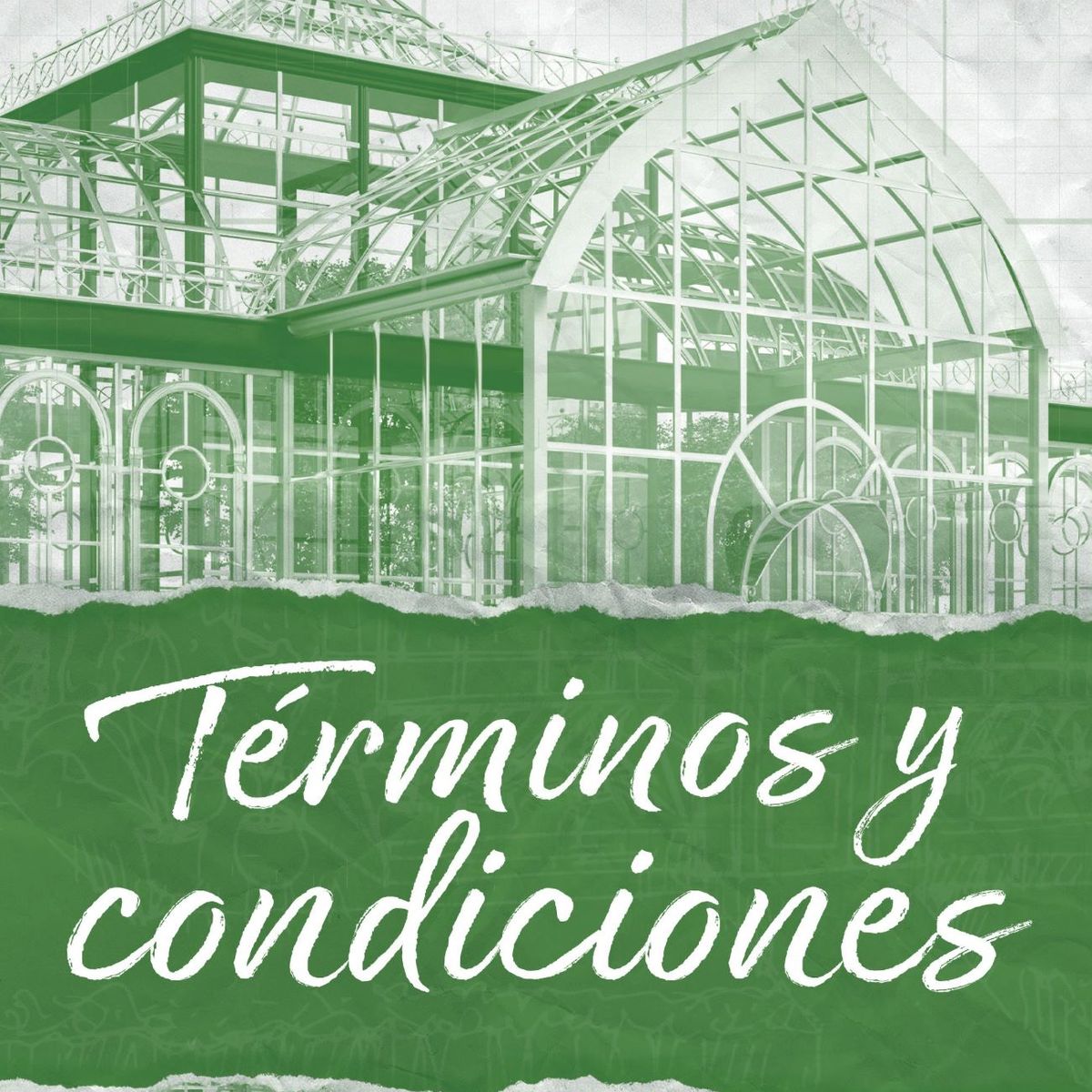 EDICIONES MARTINEZ ROCA - Libro Términos y condiciones - Lauren Asher