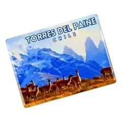 OEM - Pack 4 Imán Cerámica Torres Del Paine