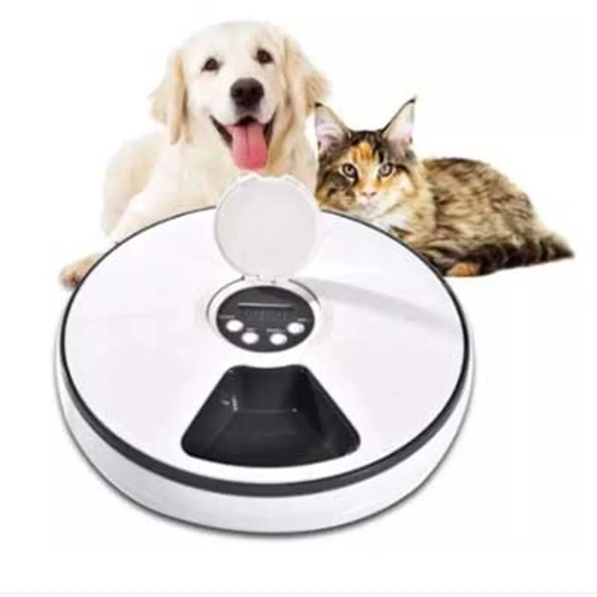 MUNDO MAGIA - Dispensado Alimento Automatico Perros Gatos