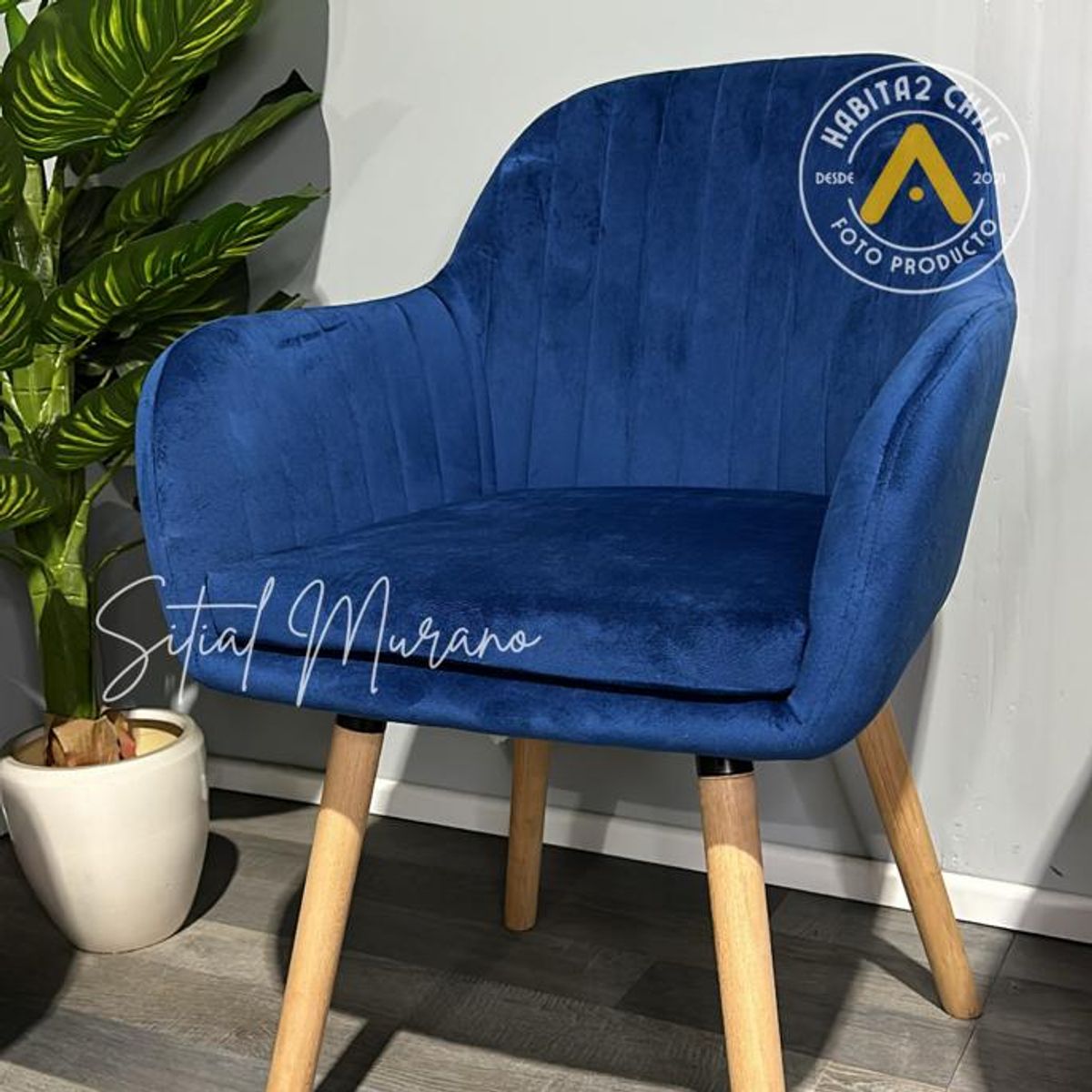 HABITA2 CHILE - Pack 2 Sitial terciopelo patas de madera Murano - Azul