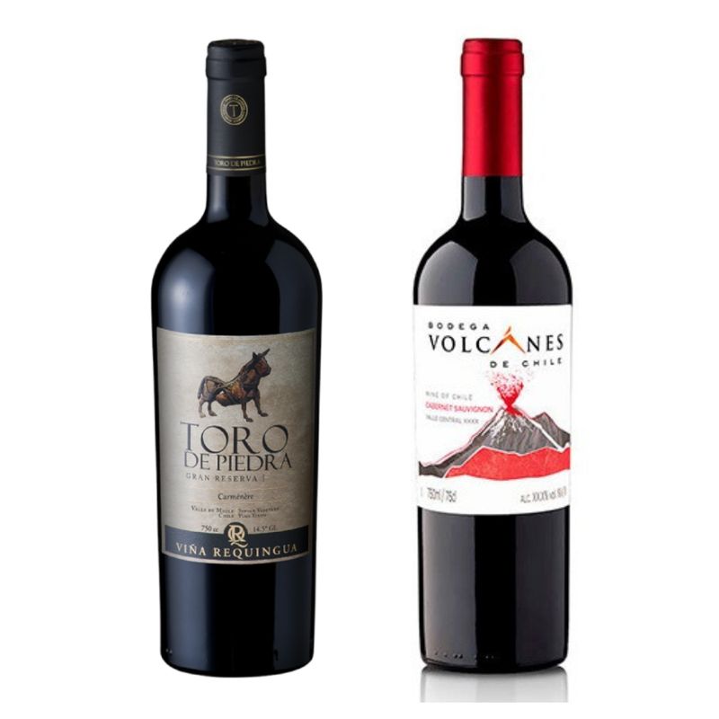 TORO DE PIEDRA - Vino Toro de Piedra GR Carmenere + Vino Volcanes Cabernet