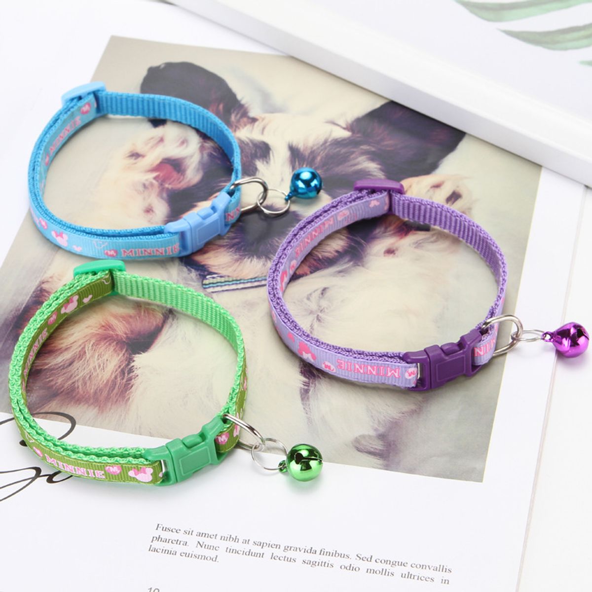 MASCO TODO - Collar Minnie con Cascabel para Gatos Azul