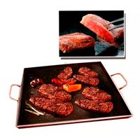 Plancha Churrasquera 45x45 Fierro 5mm