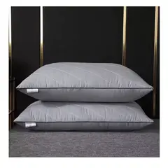 GENERICO - Pack De 2 Almohadas Brodado gris