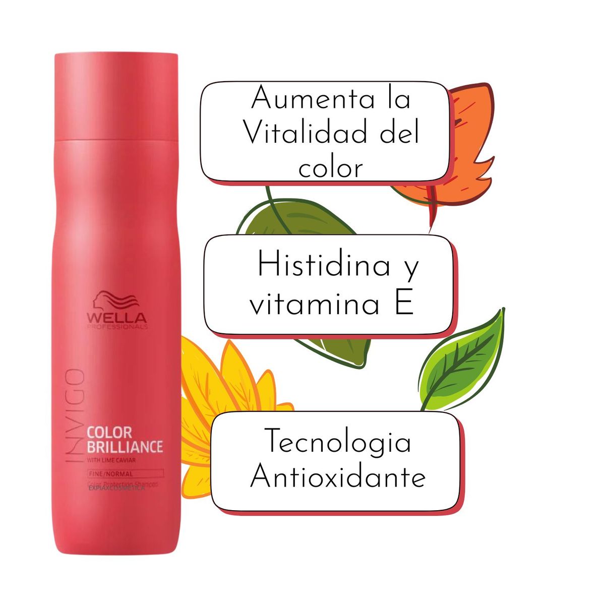 WELLA - Shampoo Wella Invigo Color Brilliance 250ml Protege Color Brillo