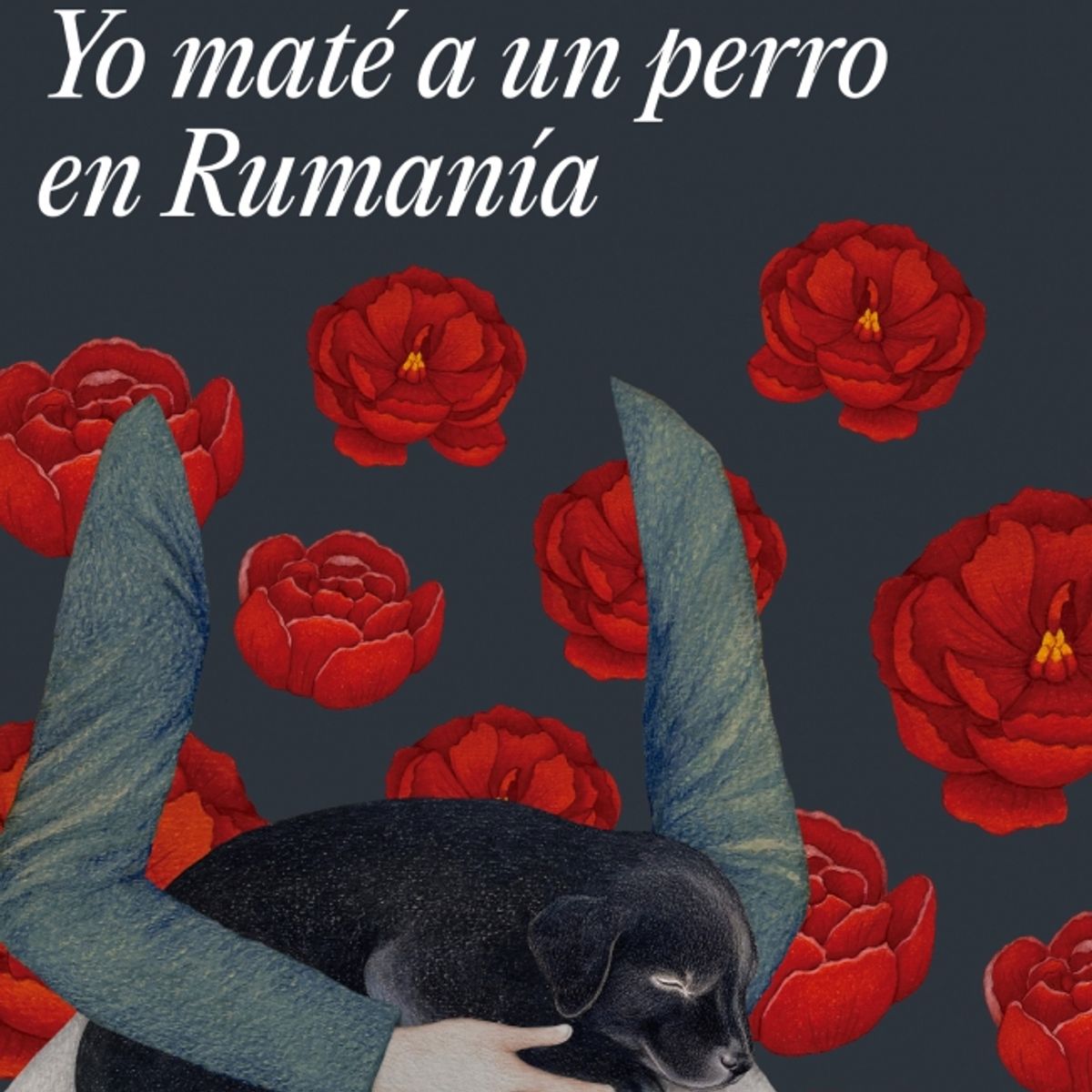 RANDOM HOUSE - Libro Yo maté a un perro en Rumania - Claudia Ulloa Donoso