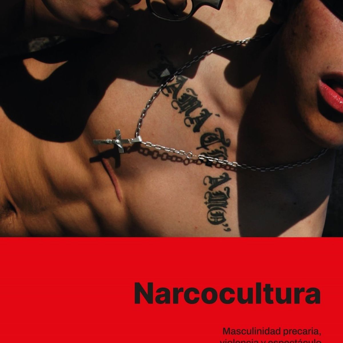 PAIDOS - Libro Narcocultura - Ainhoa Vásquez