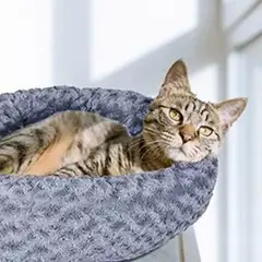 GENERICO - CAMA MASCOTA DONUT con forro y relleno independiente