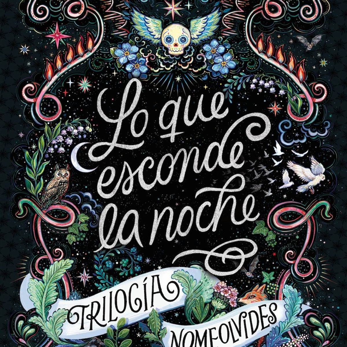 B DE BLOK - Libro Nomeolvides 1: Lo que esconde la noche - Kerstin Gier