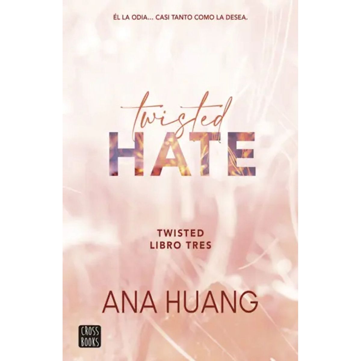 CROSS BOOKS - Libro Twisted hate - Anna Huang