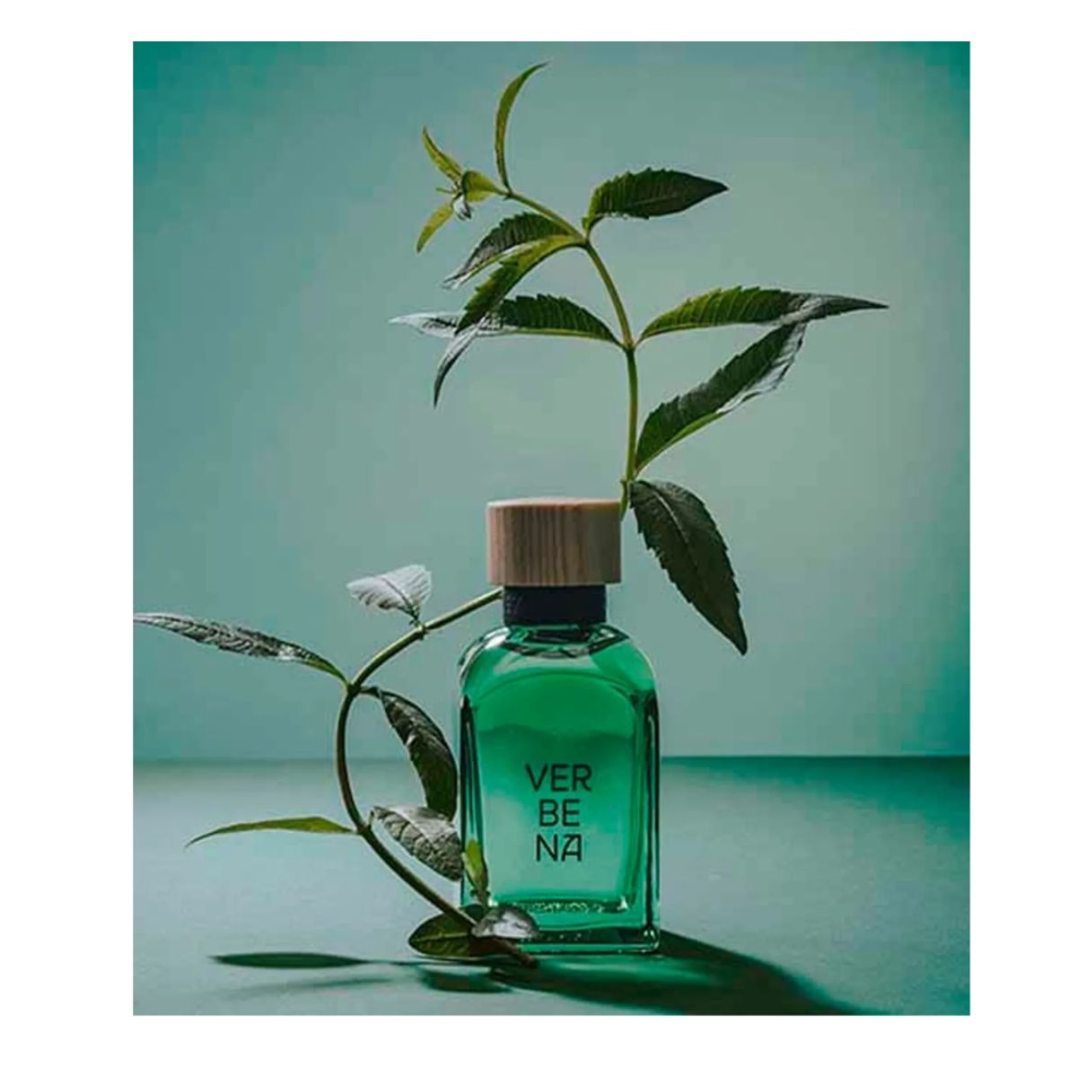 ADOLFO DOMINGUEZ - Adolfo Dominguez Verbena EDT Hombre