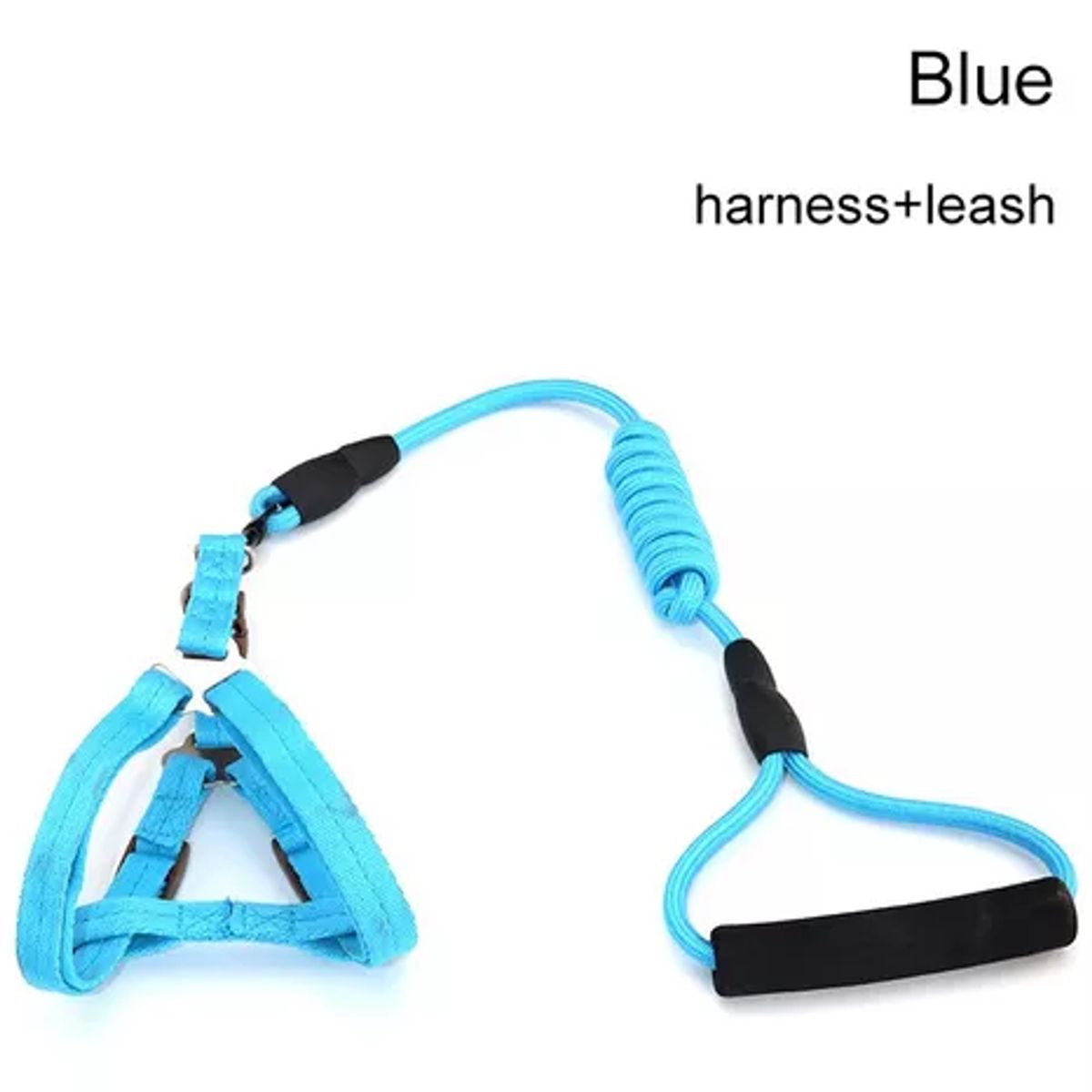 MASCO TODO - Set Árnes y Cuerda Pelota Dental Frisbee Azul Perro Mascotas