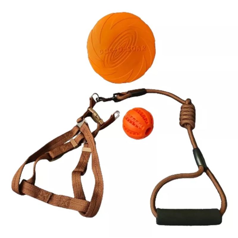 GENERICO - Set Árnes Cuerda Pelota Dental Frisbee Marrón Perro Mascotas