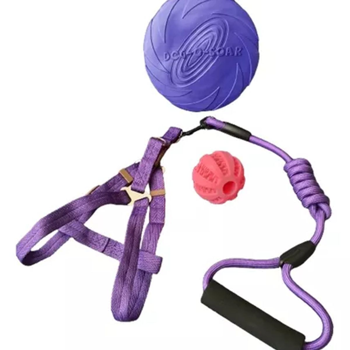 MASCO TODO - Set Árnes Cuerda Pelota Dental Frisbee Morado Perro Mascotas