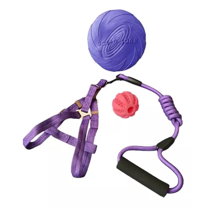 GENERICO - Set Árnes Cuerda Pelota Dental Frisbee Morado Perro Mascotas
