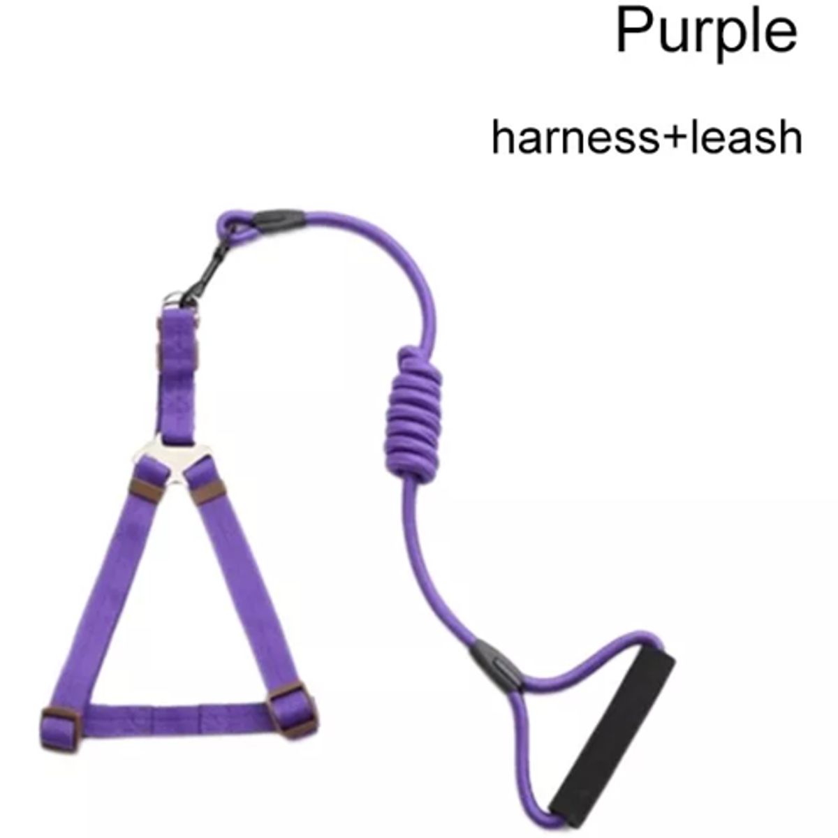 MASCO TODO - Set Árnes Cuerda Pelota Dental Frisbee Morado Perro Mascotas