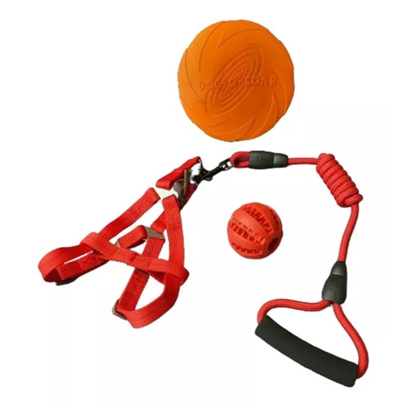 GENERICO - Set Árnes y Cuerda Pelota Dental Frisbee Rojo Perro Mascotas