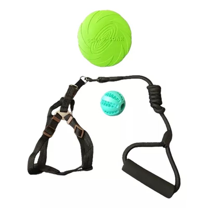 GENERICO - Set Árnes y Cuerda Pelota Dental Frisbee Negro Perro Mascota