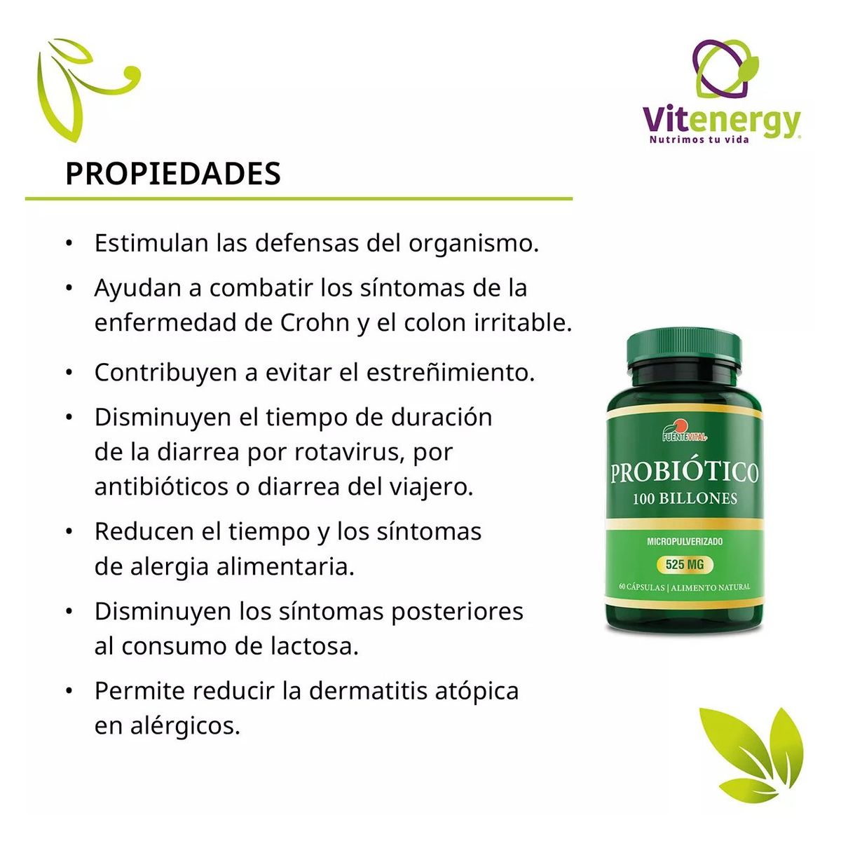 FUENTEVITAL - Probiótico 100 Billones Digestivo 60 Cápsulas