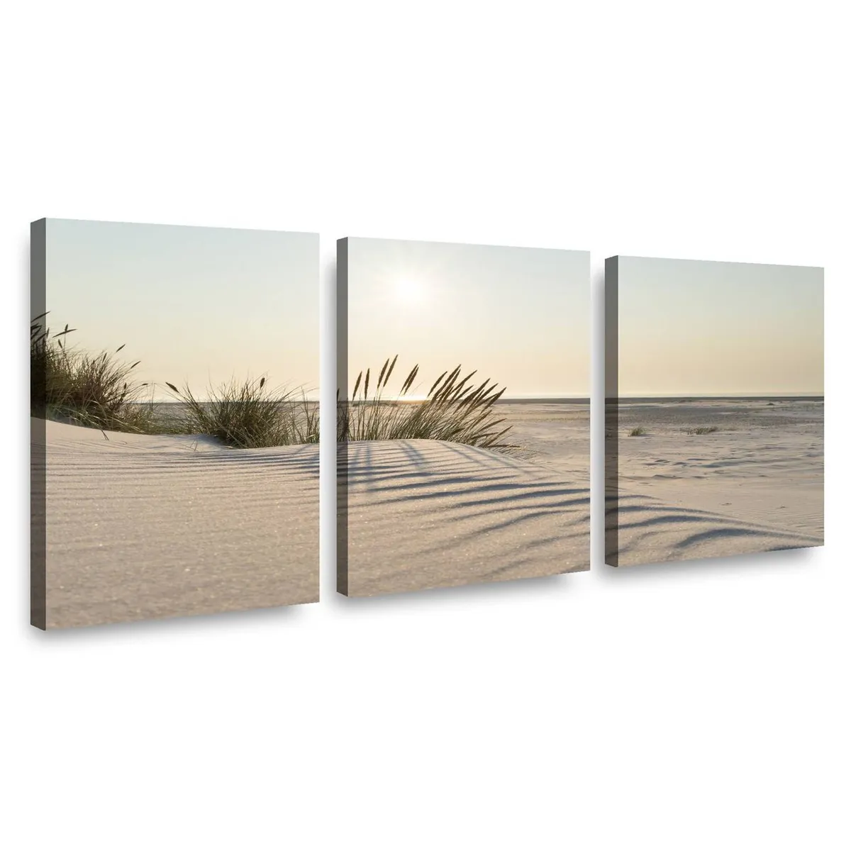 RETELA - Canvas trio arena