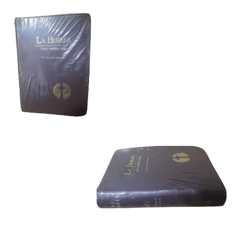 ARTIDIX - La Biblia Dios Habla Hoy color burdeos PB-A7