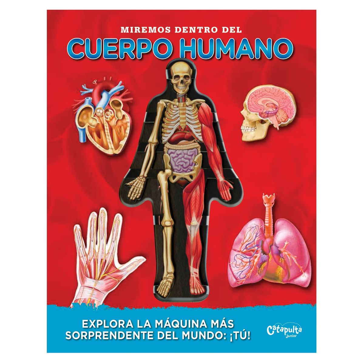 CATAPULTA EDITORES - LIBRO Miremos Dentro Del Cuerpo Humano