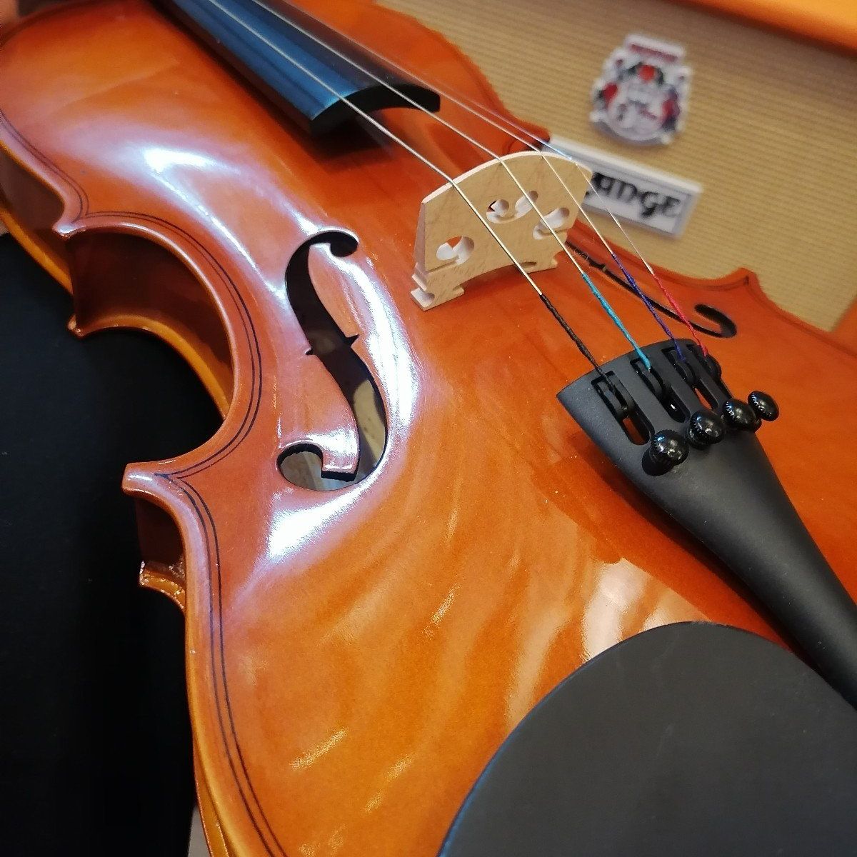 GENERICO - Violin 44 Begginer Classic - Estudio Principiante - Remchile Store