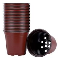 Pack 100 Maceteros Flexibles 15x13, Cactus, Suculentas