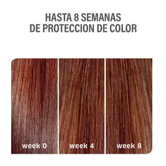 WELLA - Shampoo Color Motion 1000ml Proteccion Color.