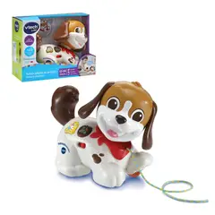 VTECH - PERRITO INFANTIL DE ARRASTRE PASEOS Y AVENTURAS