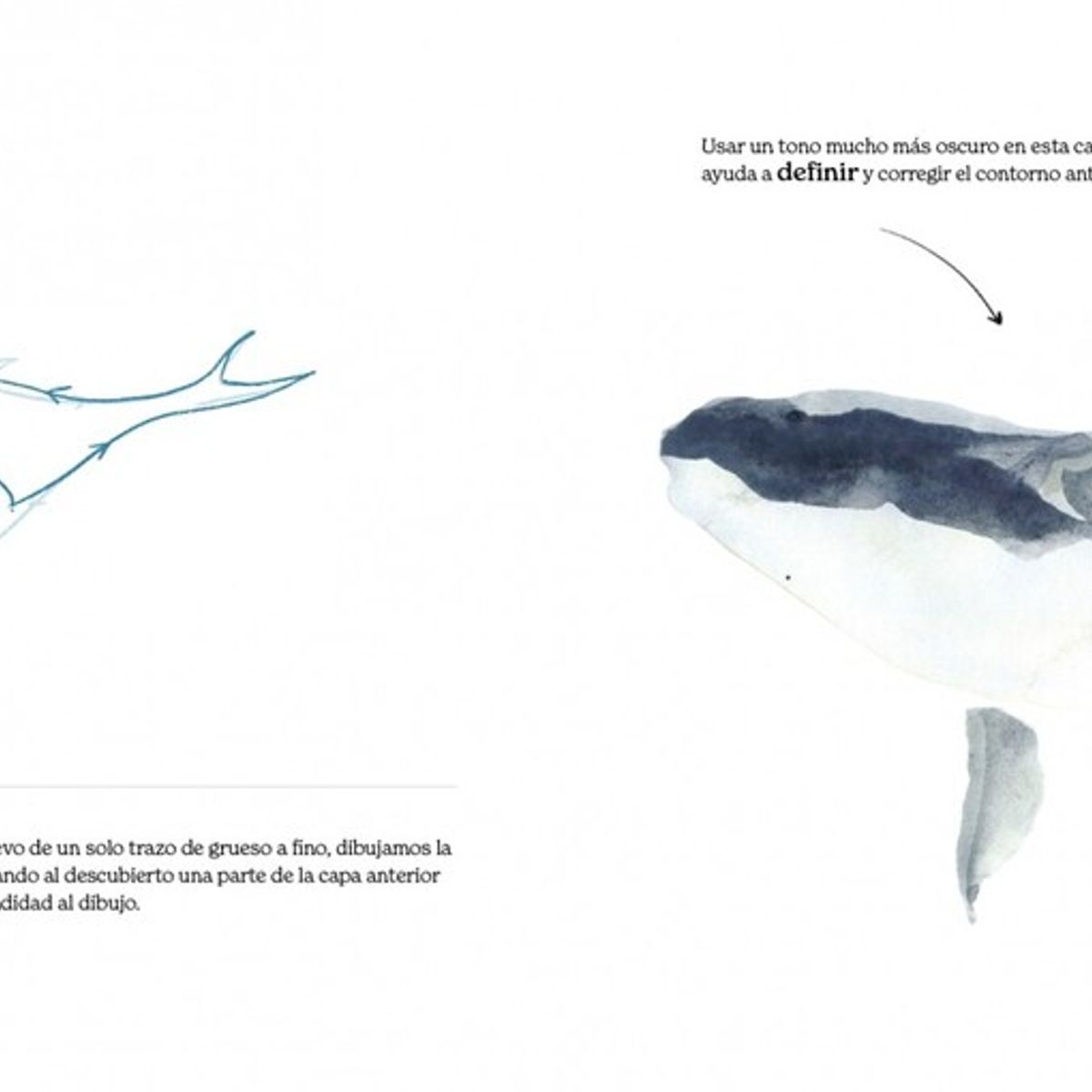 GUSTAVO GILI - Animalia Trazo A Trazo