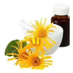 DIVINA - Extracto Hidro Glicerinado de Arnica100 ml
