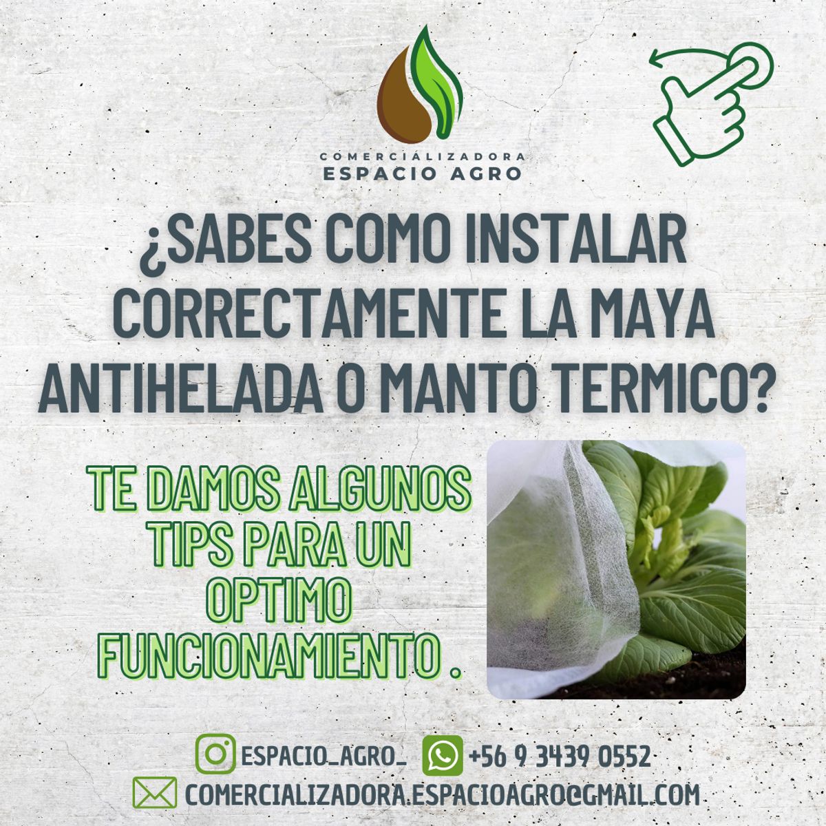 1880 - Malla Antihelada 2.07 ancho x 50 Mt largo (17g) Manto Térmico