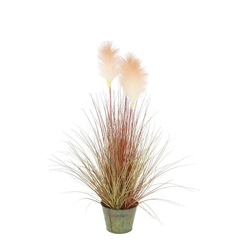 NECTAR - Grass con pluma blanca 70 cm