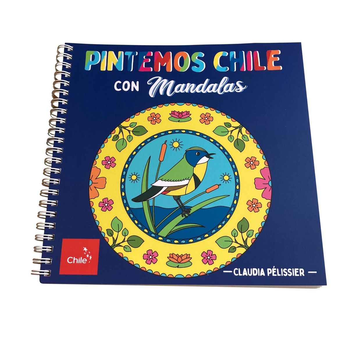 FLORENCIA Y SUS AVENTURAS - Libro para colorear - Pintemos Chile con mandalas + Set 24 Sharpie