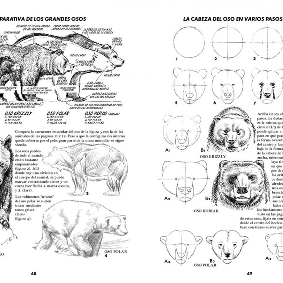 GUSTAVO GILI - Animales. Cómo dibujar su forma y movimientos