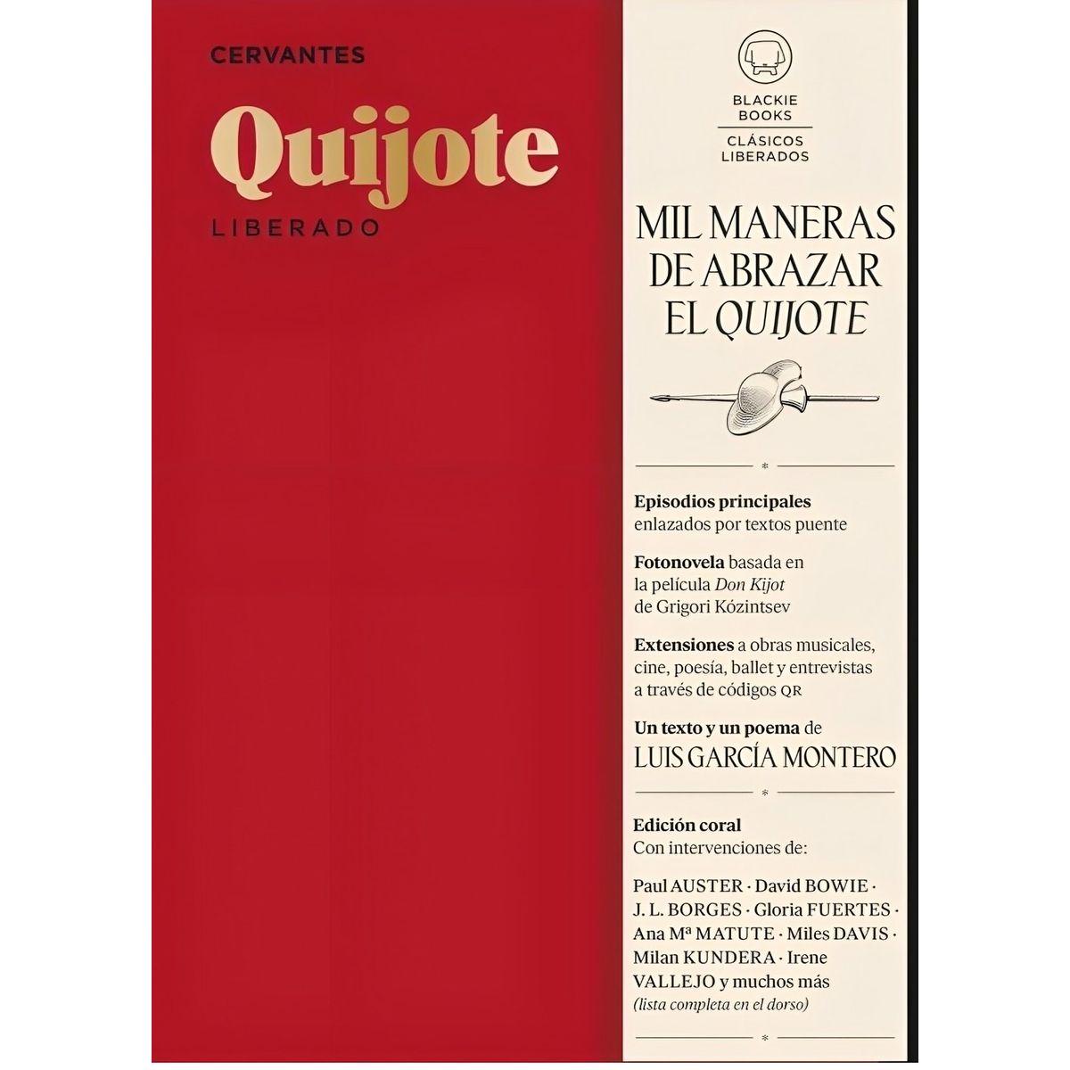 TOP10BOOKS - LIBRO Quijote Liberado - Quijote Liberado