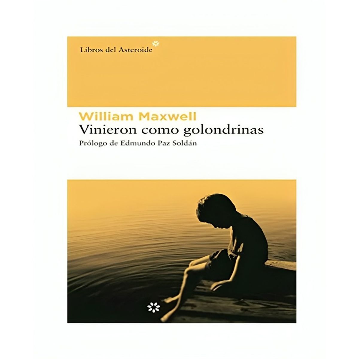 TOP10BOOKS - LIBRO Vinieron cómo Golondrinas - Vinieron cómo Golondrinas