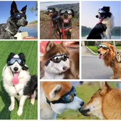 MUNDO MAGIA - Gafas De Sol Para Perro Anti-uv Protector De Ojos Ajustable