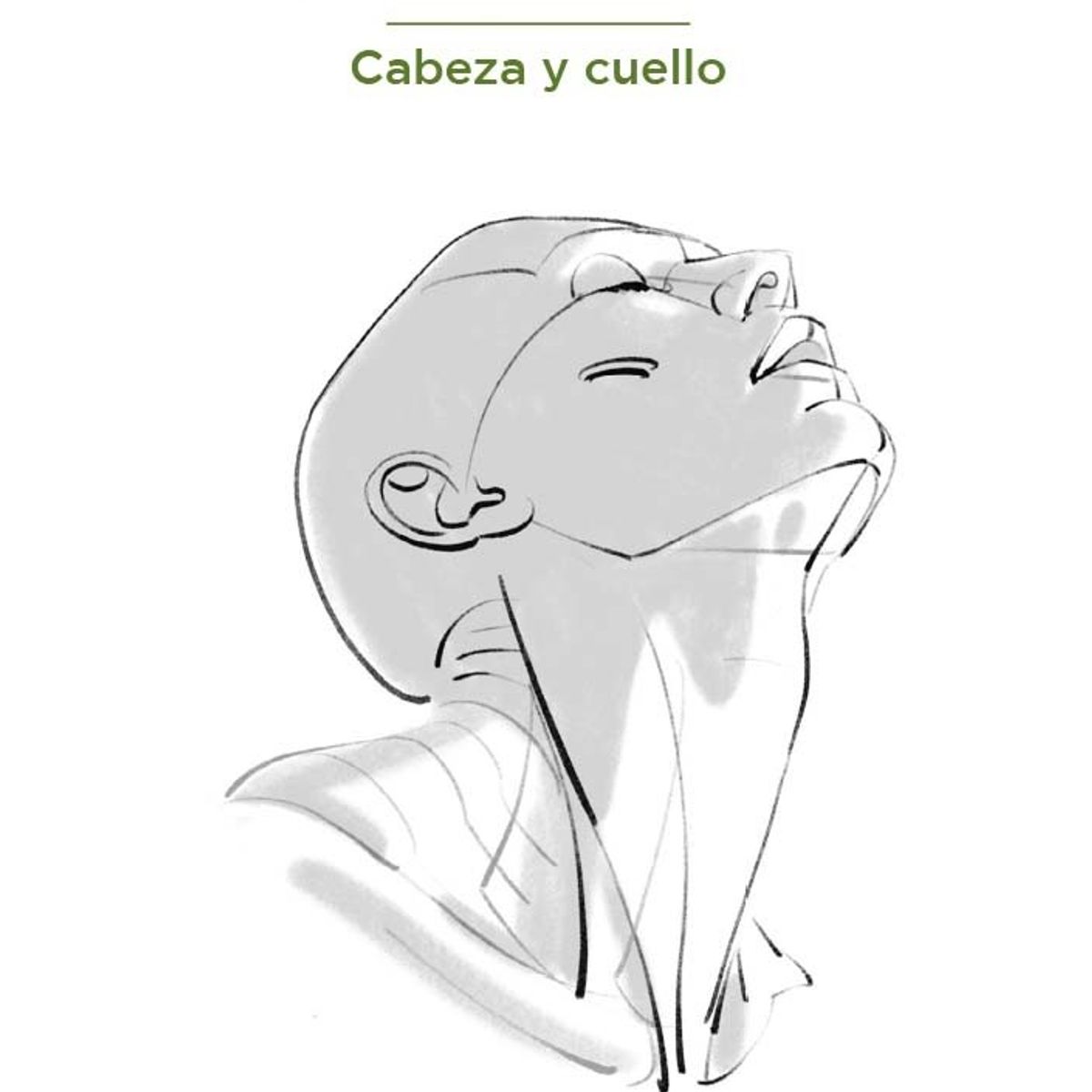 GUSTAVO GILI - Anatomía Artística 10. Cabeza Y Cuello