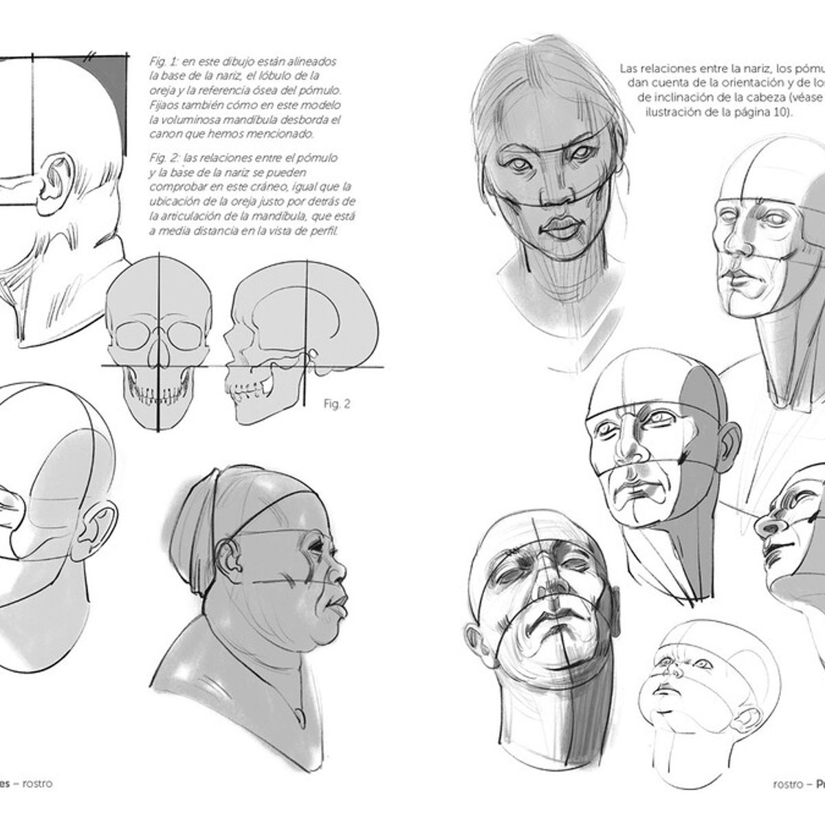 GUSTAVO GILI - Anatomía Artística 10. Cabeza Y Cuello