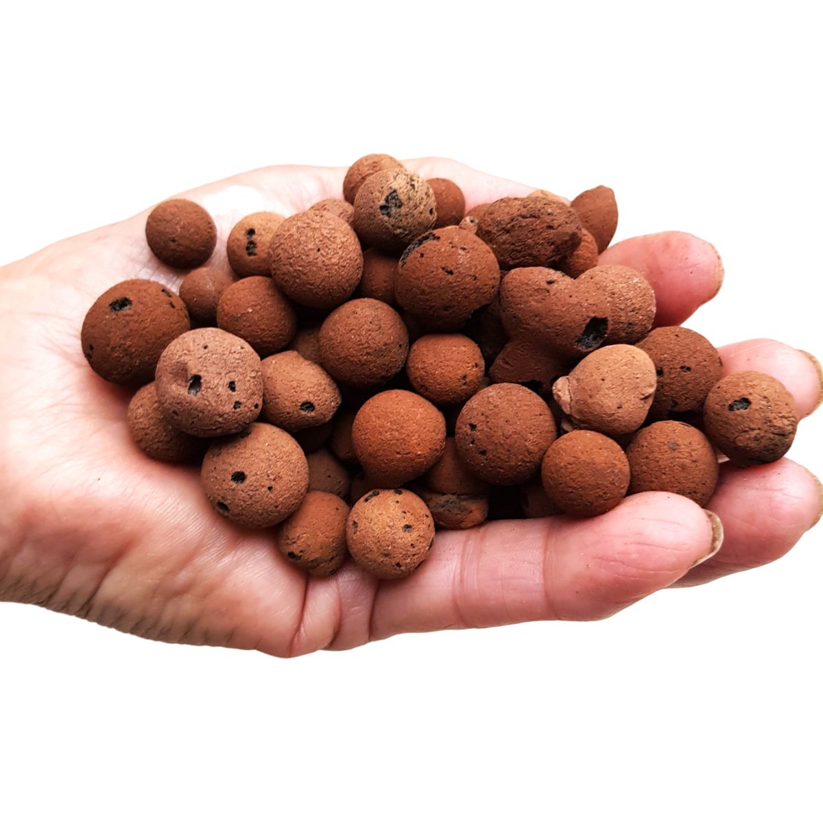 GENERICO - Arlita (Sustrato Arcilla Expandida - Leca) 2 Litros