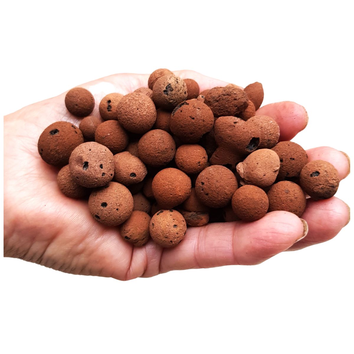 GENERICO - Arlita (Sustrato Arcilla Expandida - Leca) 2 Litros