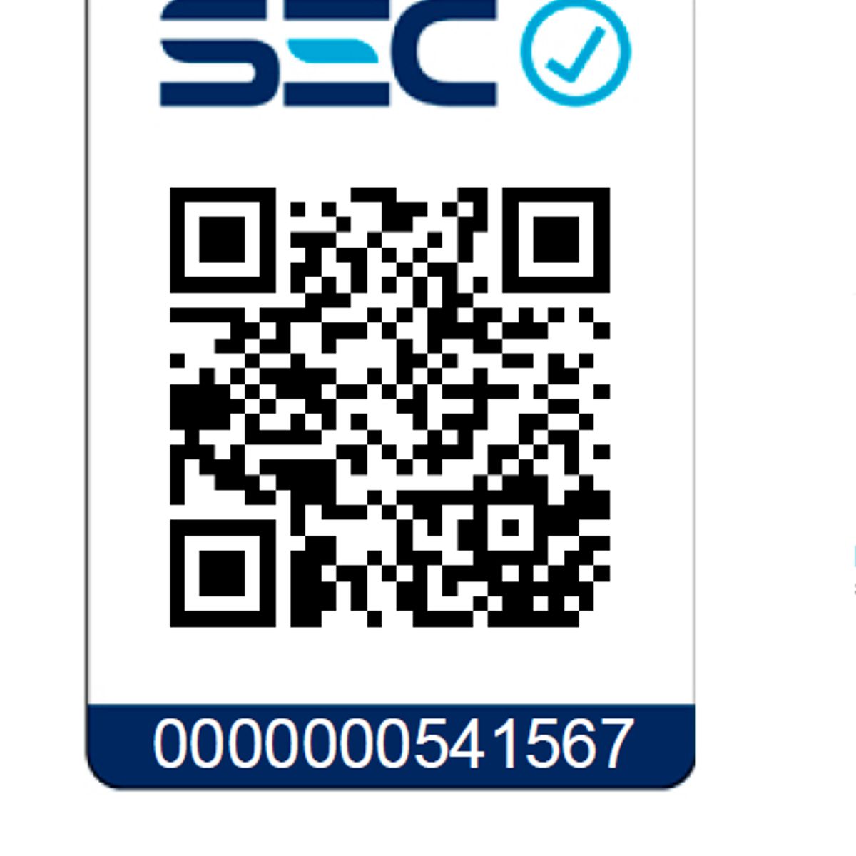 EINHELL - KIT BATERIA 4.0 AH + CARGADOR RAPIDO DE 18V