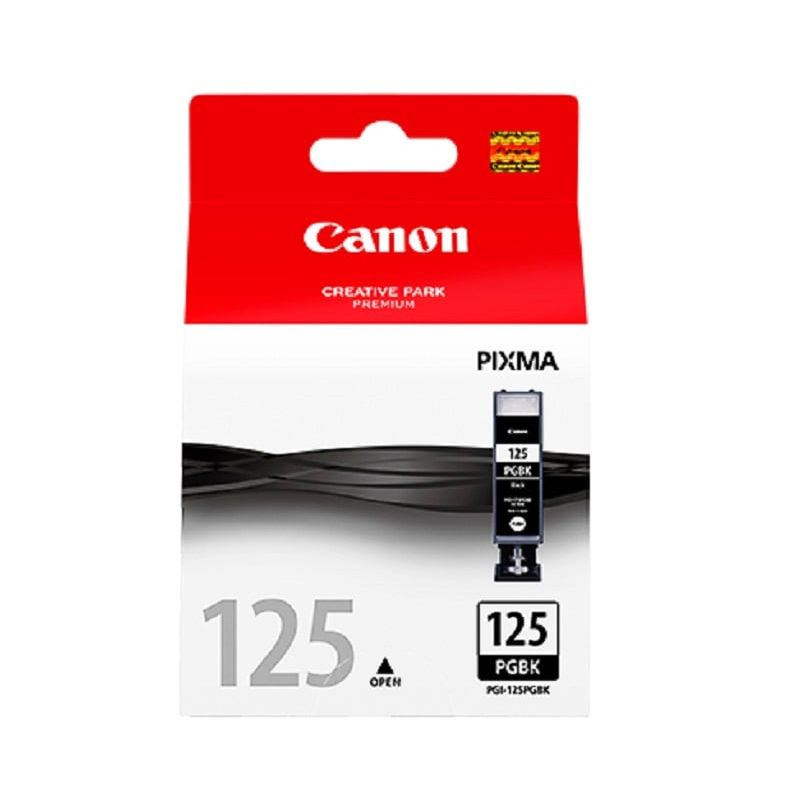 CANON - Cartucho de Tinta Canon PGI-125 pág. 350 19ml Negro 4533B001