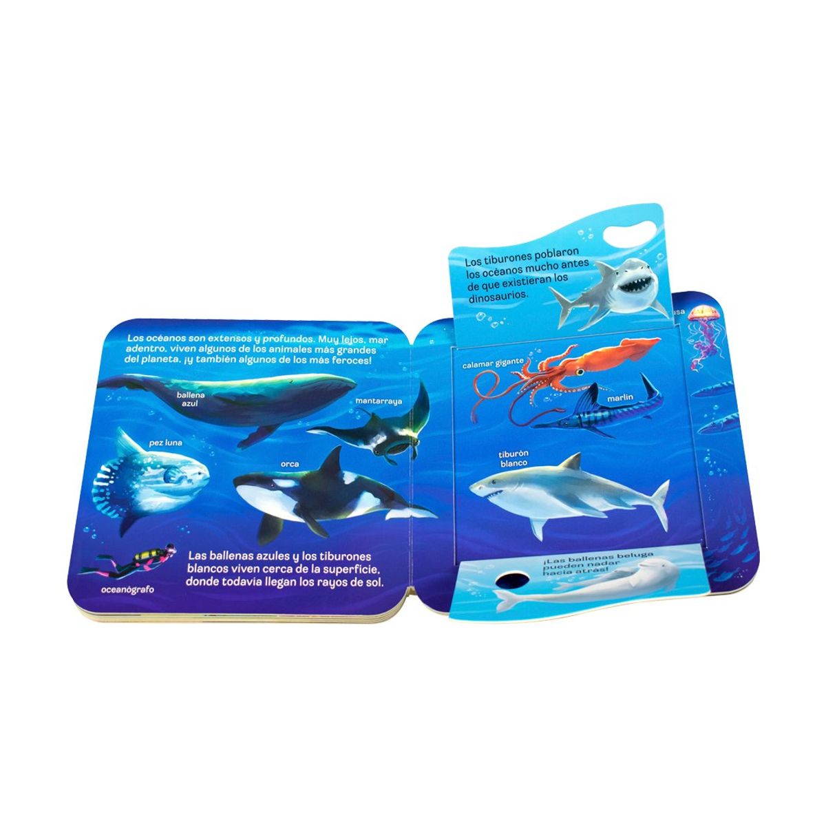 COTTAGE - Océano - Tapitas Curiosas